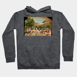 The Ostriches of the Plaza del Teucro (Pontevedra) Hoodie